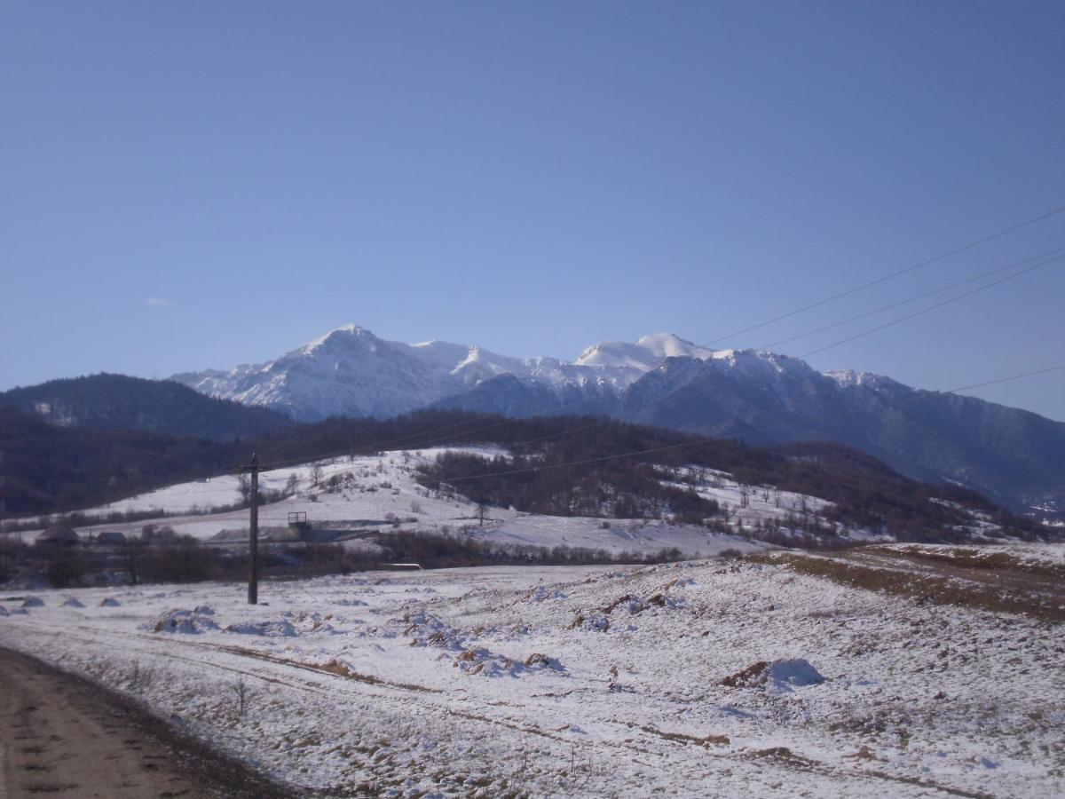 Pensiunea Rasnov ภายนอก รูปภาพ