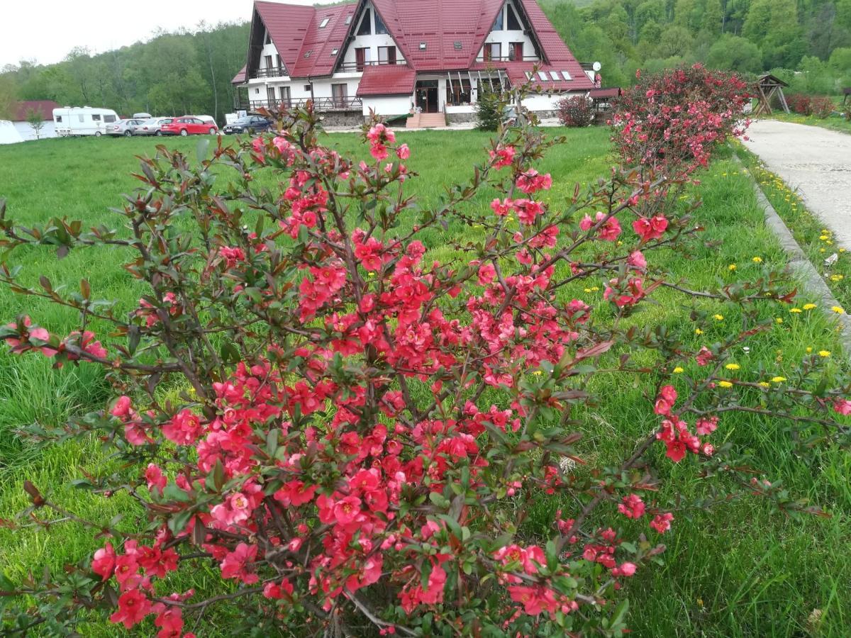 Pensiunea Rasnov ภายนอก รูปภาพ